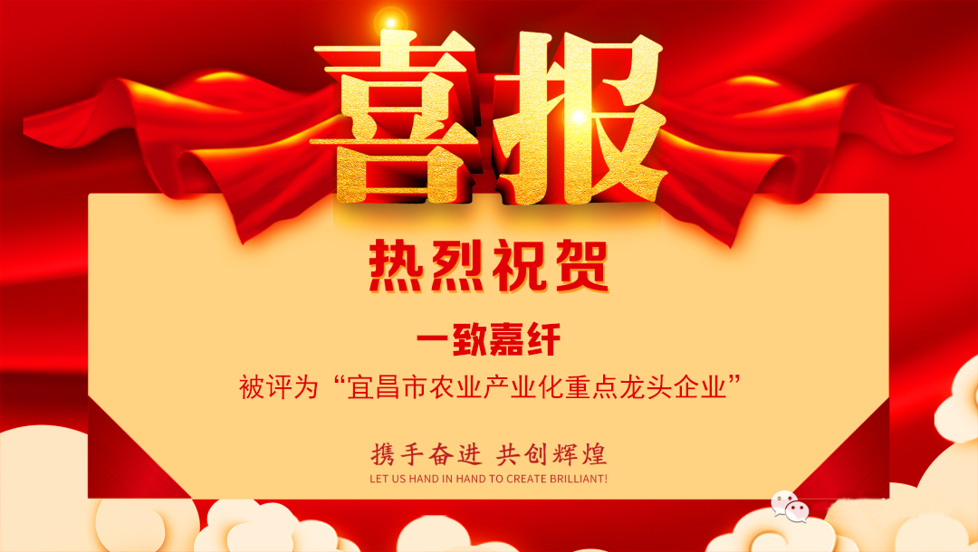 嘉纖農(nóng)業(yè)產(chǎn)業(yè)化龍頭企業(yè)喜報.jpg